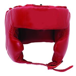 Head Guard
