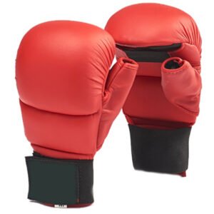 Karate Mitt