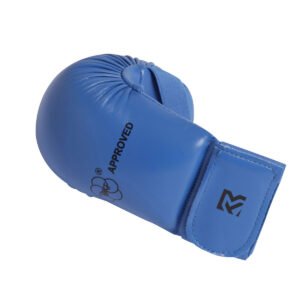 Karate Mitt / Gloves