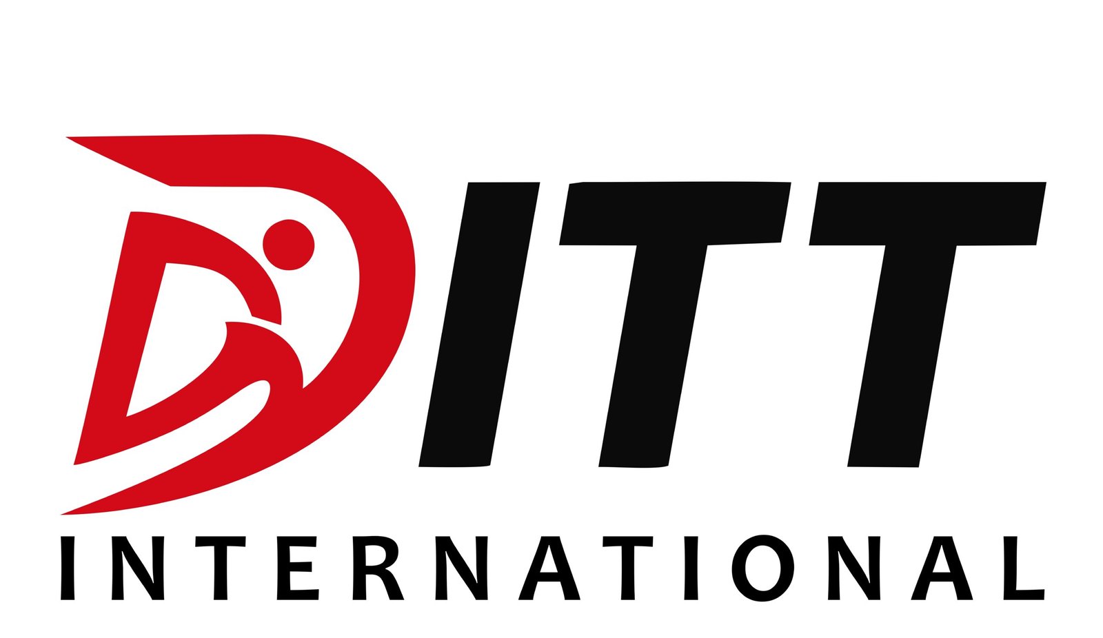 Ditt International